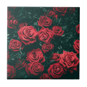 Carreau Fond à motif floral de roses rouges foncées lunati