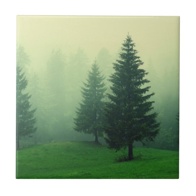 Carreau Forêt brumeuse de pin (Devant)