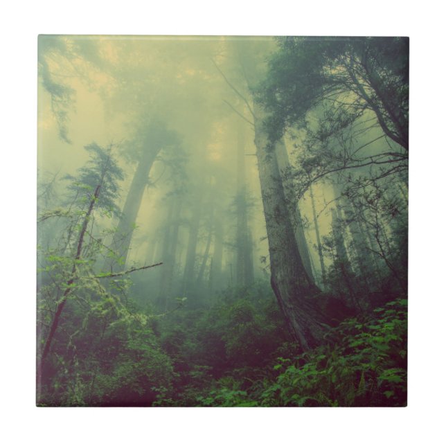 Carreau Forêt brumeuse majestueuse (Devant)