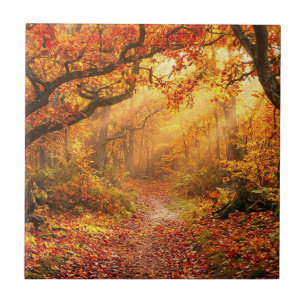 Carreau Forêt d'automne