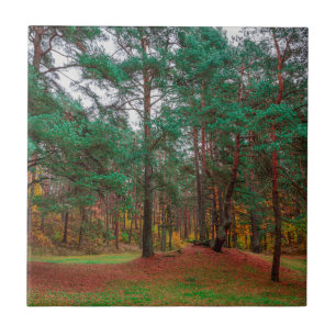 Carreau Forêt d'automne