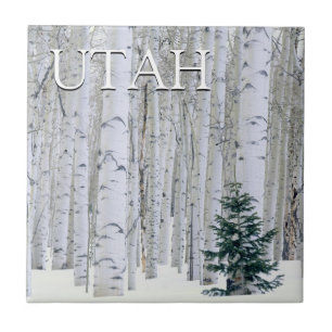 Carreau Forêt nationale de Manti-LaSal, Utah
