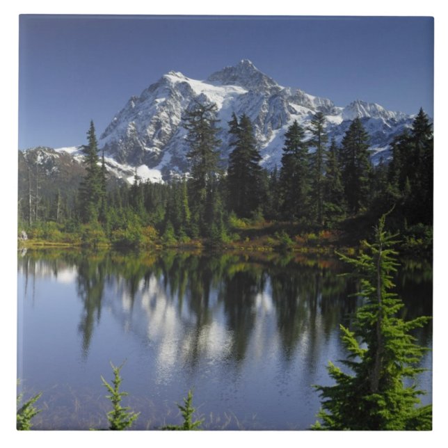 Carreau Forêt nationale du Mont Baker-Snoqualmie (Devant)
