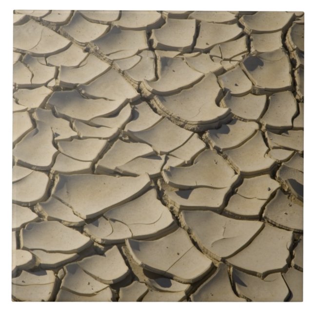 Carreau Formation de boue craquée dans le plancher de la v (Devant)