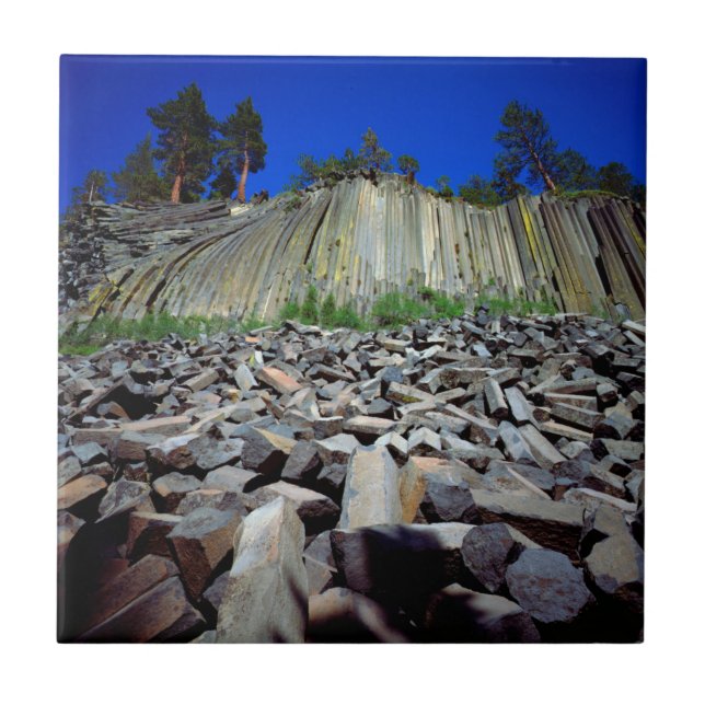 Carreau Formations basaltiques de Devils Postpile (Devant)