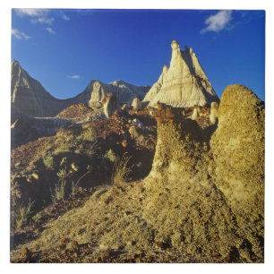 Carreau Formations des Badlands au Dinosaur Provincial Par