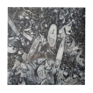 Carreau fossile Orthoseras et Goniatite