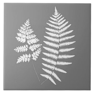 Carreau Fougère des bois, gris / grise et blanc