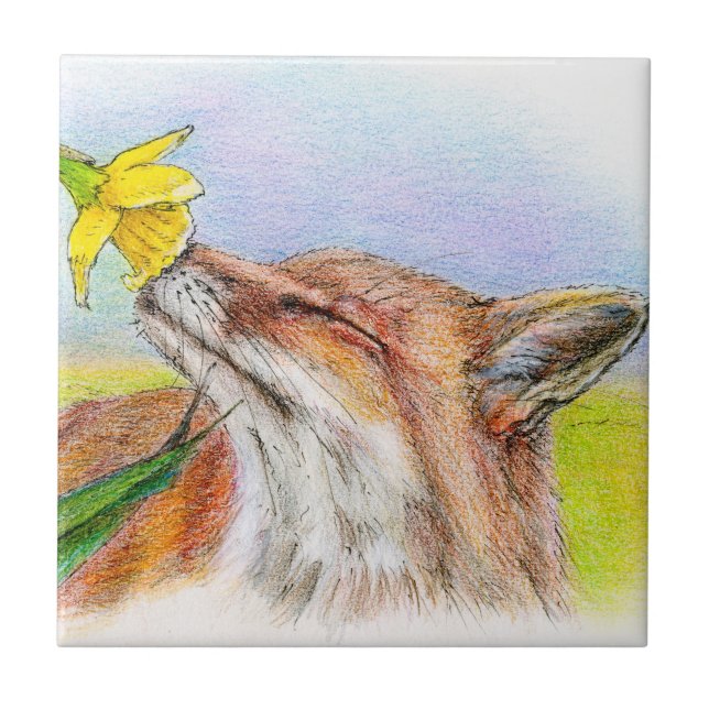 Carreau Fox de Fred (Devant)