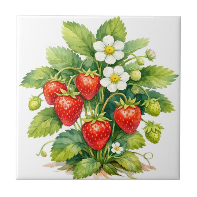 Carreau Fraises à l'aquarelle et fleurs de fraisier  (Devant)