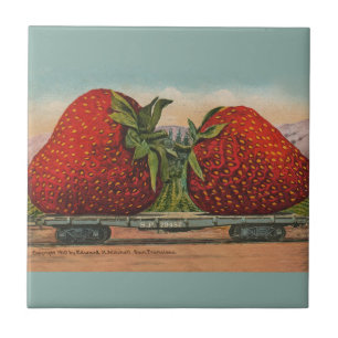 Carreau Fraises Giant Fruit Antique Fruit Amusant