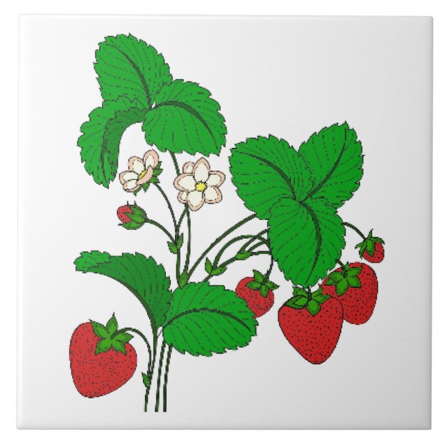 Carreau Fraises pour le petit-déjeuner (Devant)