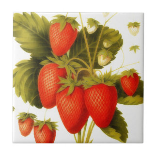 Carreau Fraises vintages aux feuilles verts