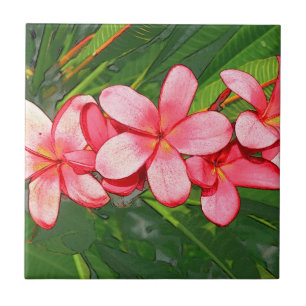 Carreau frangipani