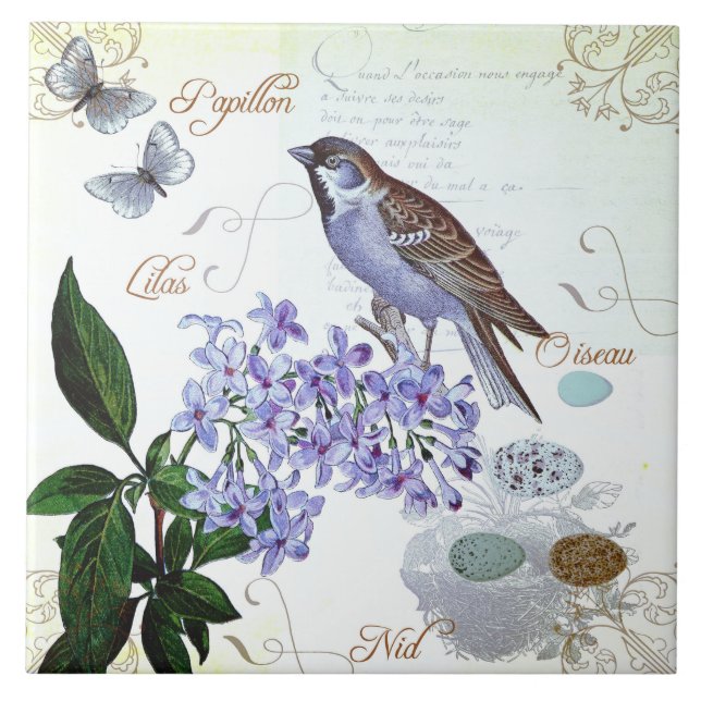 Carreau French Bird Floral Collage Vintage (Devant)