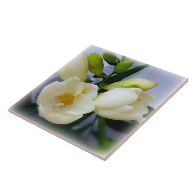 Carreau frénésie jaune blanc (Côté)