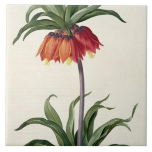 Carreau Fritillaria Imperialis de, "Les Lilacees", 1802-