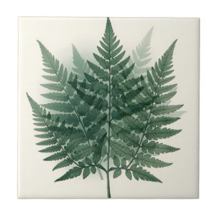 Carreau Frondes de fougère verte élégantes - Botanique