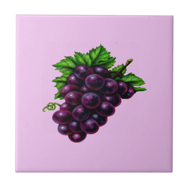 Carreau Fruit de la Vigne (Devant)
