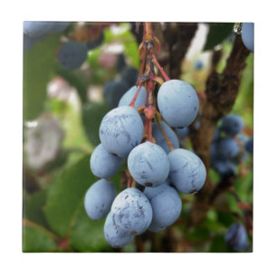 Carreau Fruit d'épine noire