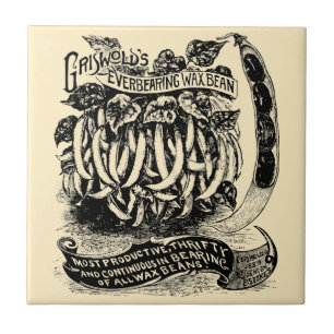 Carreau Fruits et haricots vintages de l'ère victorienne