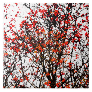 Carreau Fruits rouges ou fraises