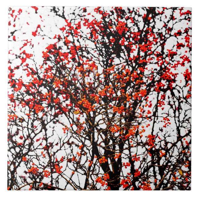 Carreau Fruits rouges ou fraises (Devant)