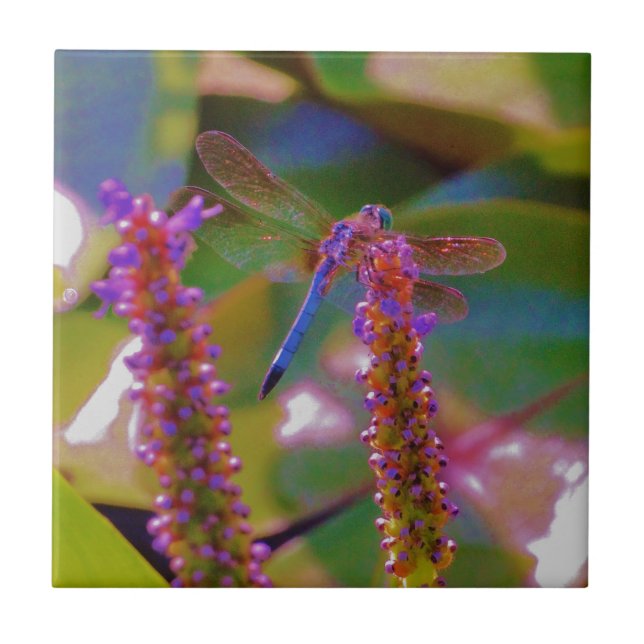 Carreau Fuchsia fleur et dragon mouche (Devant)