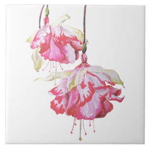 Carreau Fuchsias exotiques sur un carrelage en céramique