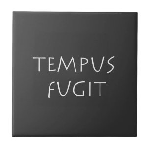 Carreau Fumgit Tempus