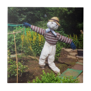 Carreau Funny scarecrov