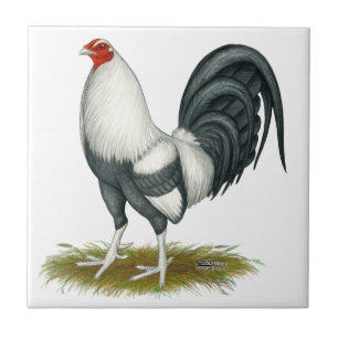 Carreau Gamecock Bleu d'argent du jeu américain