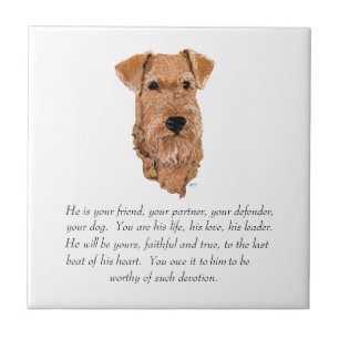 Carreau Garde de Terrier Irlandais - Mâle