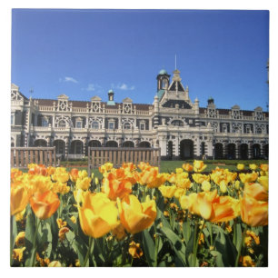 Carreau Gare ferroviaire de Dunedin