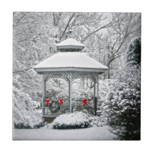 Carreau Gazebo dans la neige