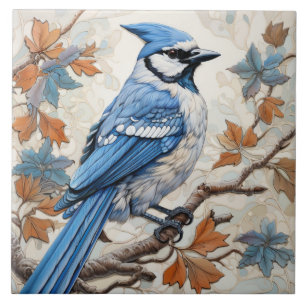 Carreau Geai bleu, plumage bleu et blanc