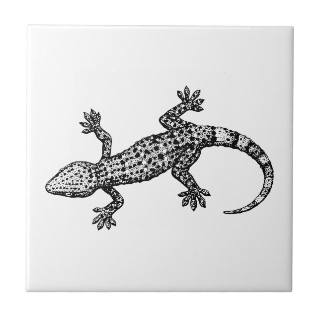 Carreau Gecko (Devant)