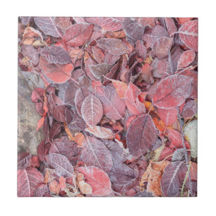 Carreau Gelée sur feuilles mortes, Couleurs d'automne, Mil
