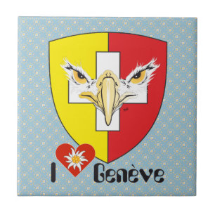 Carreau Genève / Genève Suisse Svizzera Fliese