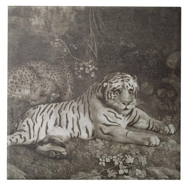 Carreau George Stubbs | deux Tygers, gravé par l'artiste (Devant)