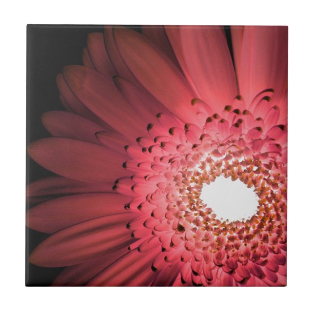 Carreau Gerbera marguerite (Devant)