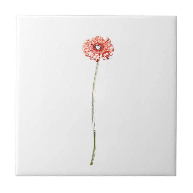 Carreau Gérbera rose pâle Croquis de fleurs (Devant)