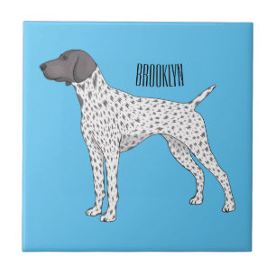 Carreau German Shorthred Pointer dog
