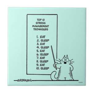 Carreau Gestion du temps