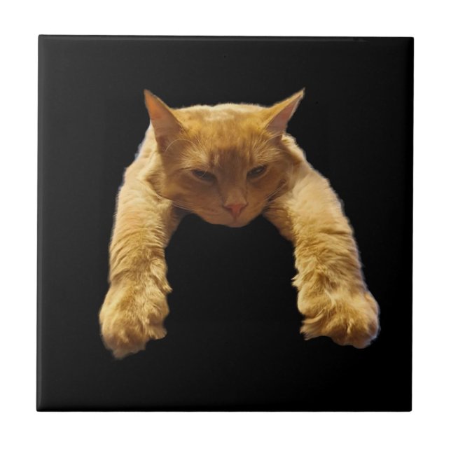 Carreau Gingembre Lazy Chat, Carrelage en céramique (Devant)