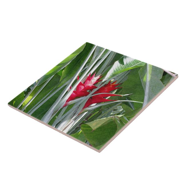 Carreau Ginger rouge (Côté)