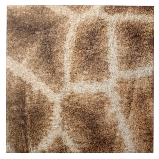 Carreau Girafe (Devant)