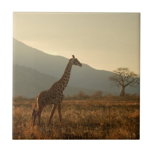 Carreau Girafe dans la savane (Devant)