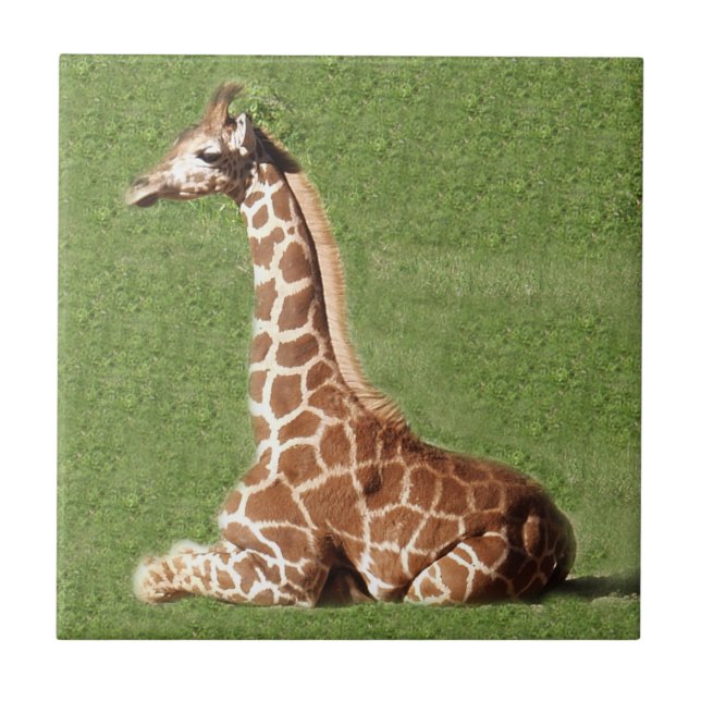 Carreau Girafe de bébé (Devant)