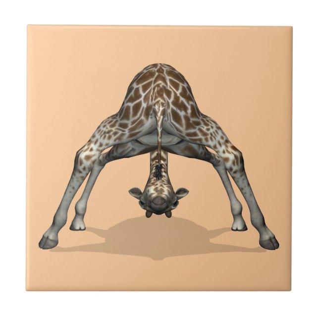 Carreau Girafe flexible (Devant)